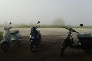 Vespa nella nebbia