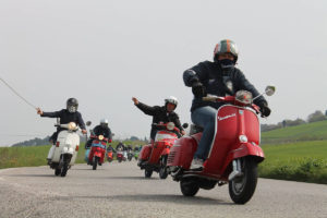 Vespisti