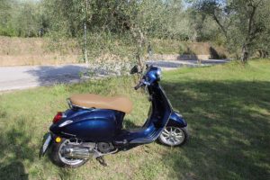 Vespa Primavera silouhette