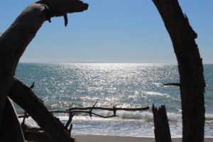 Marina di Cecina