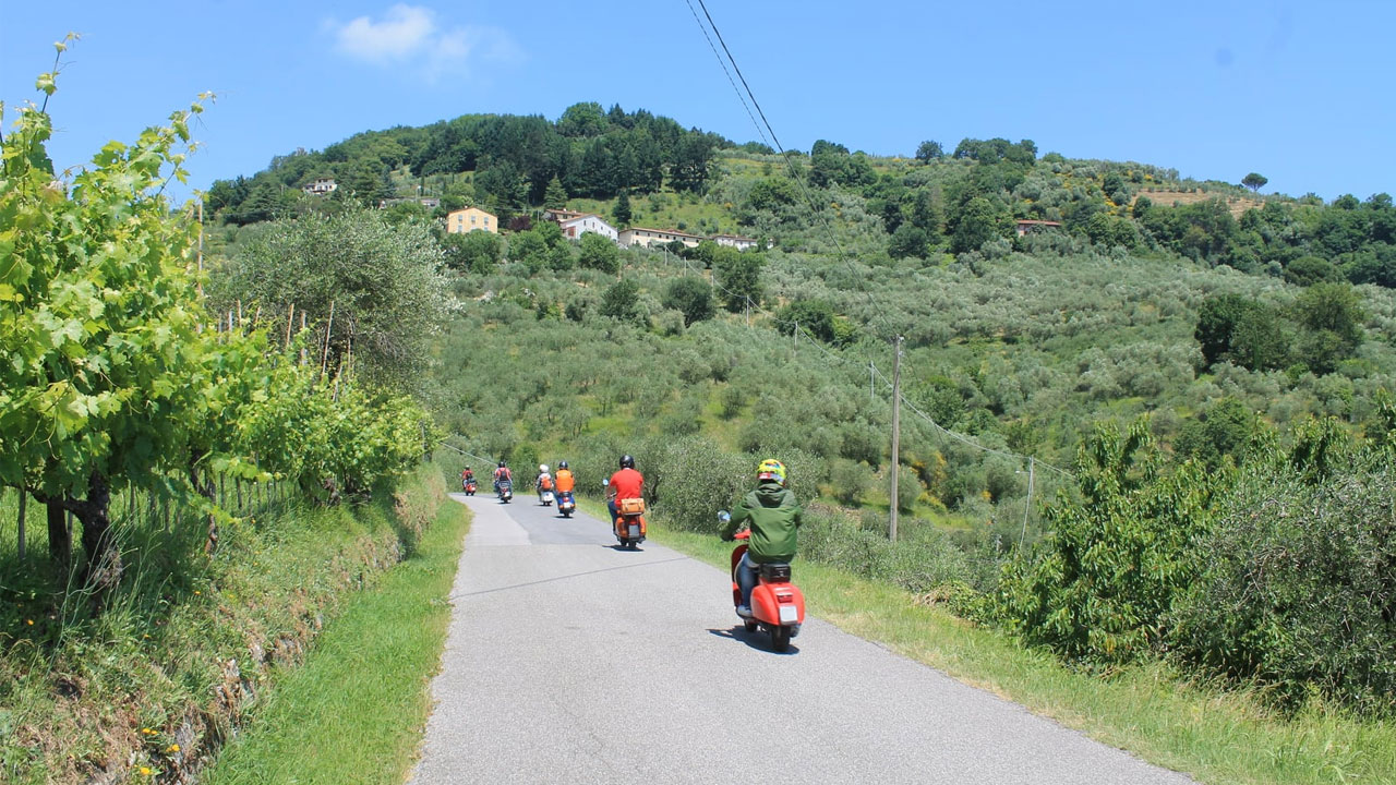 paesaggi lucchesi