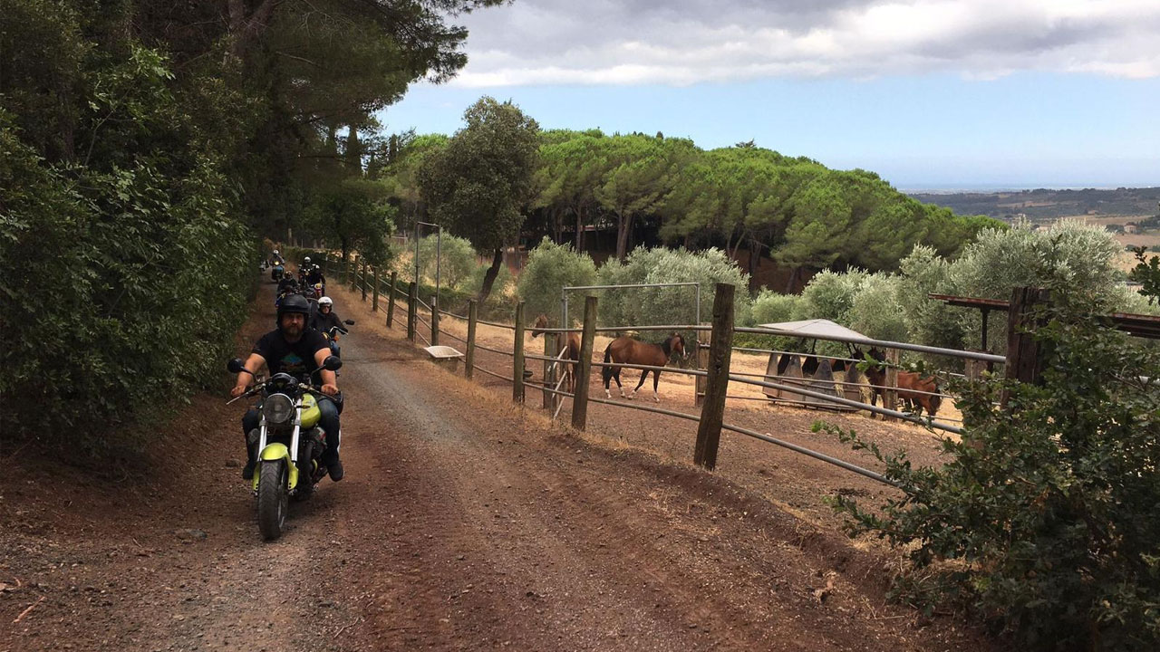 Strade bianche