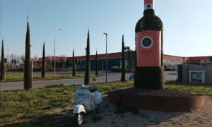 Vino chianti