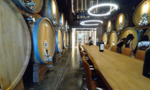 Cantine Piccini