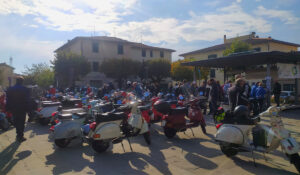 Cavallina di Mugello