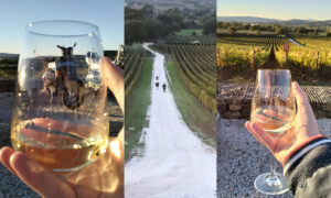 Tenuta Rigoloccio