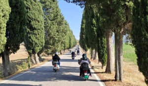 Cipressi in Toscana