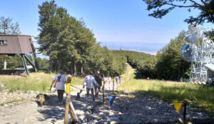 Vetta Monte Amiata